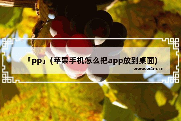 「pp」(苹果手机怎么把app放到桌面)