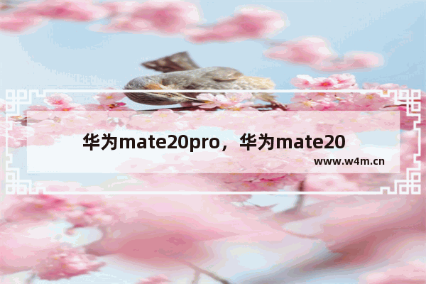 华为mate20pro，华为mate20Pro有没有语音助手