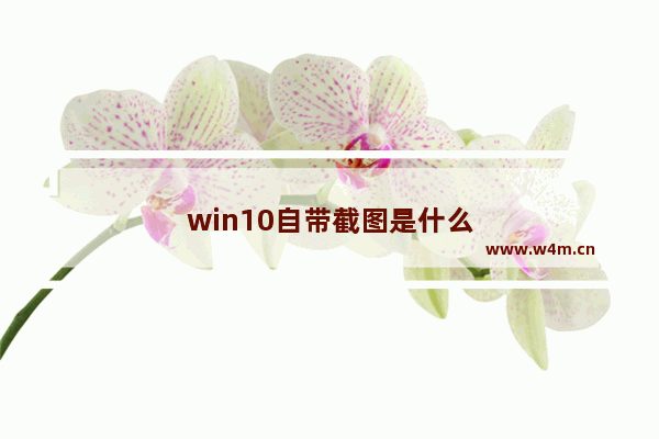 win10自带截图是什么