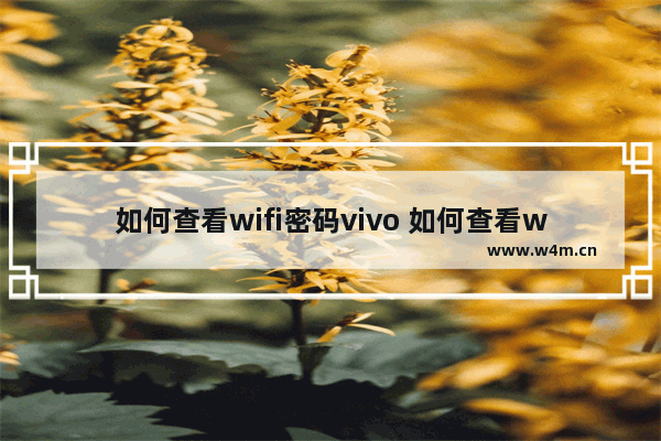 如何查看wifi密码vivo 如何查看wifi密码vivo没有二维码