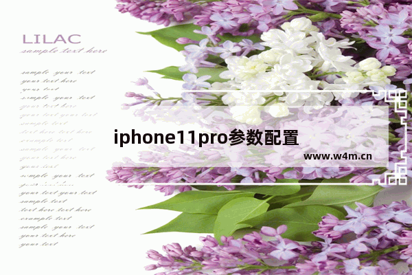 iphone11pro参数配置