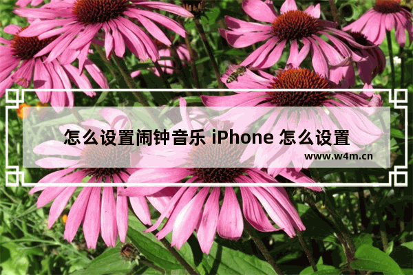 怎么设置闹钟音乐 iPhone 怎么设置闹钟音乐