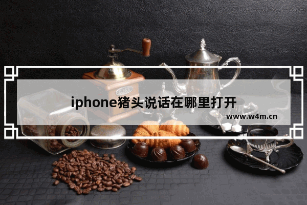 iphone猪头说话在哪里打开