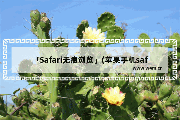 「Safari无痕浏览」(苹果手机safari无痕浏览)