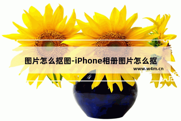 图片怎么抠图-iPhone相册图片怎么抠图