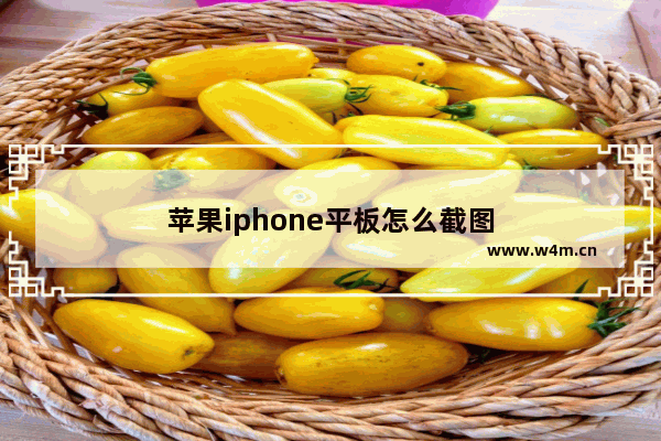 苹果iphone平板怎么截图