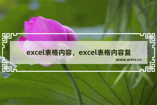 excel表格内容，excel表格内容复制