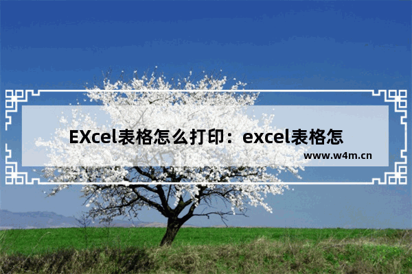 EXcel表格怎么打印：excel表格怎么打印表头固定