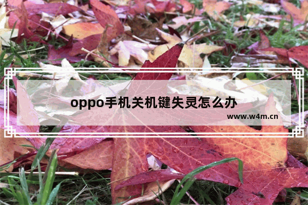 oppo手机关机键失灵怎么办