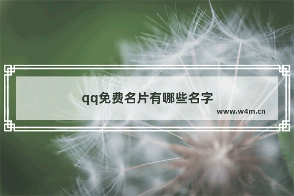 qq免费名片有哪些名字