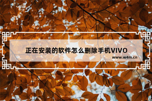 正在安装的软件怎么删除手机VIVO