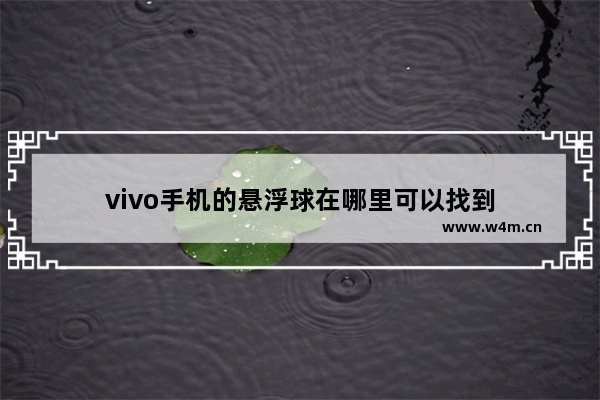 vivo手机的悬浮球在哪里可以找到