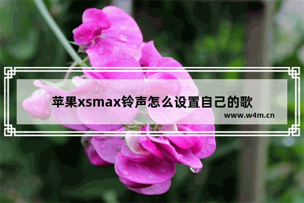 苹果xsmax铃声怎么设置自己的歌