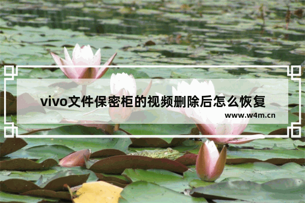 vivo文件保密柜的视频删除后怎么恢复