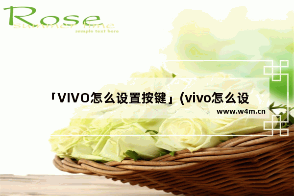 「VIVO怎么设置按键」(vivo怎么设置按键音)