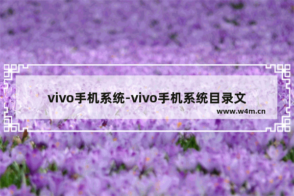 vivo手机系统-vivo手机系统目录文件怎么删除