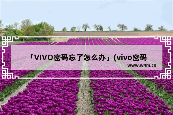 「VIVO密码忘了怎么办」(vivo密码忘了怎么办 解开)