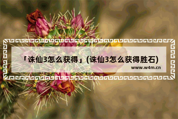 「诛仙3怎么获得」(诛仙3怎么获得胜石)