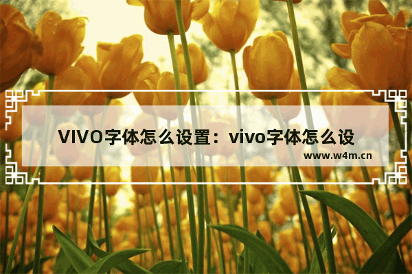 VIVO字体怎么设置：vivo字体怎么设置拼音