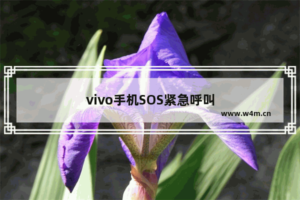 vivo手机SOS紧急呼叫