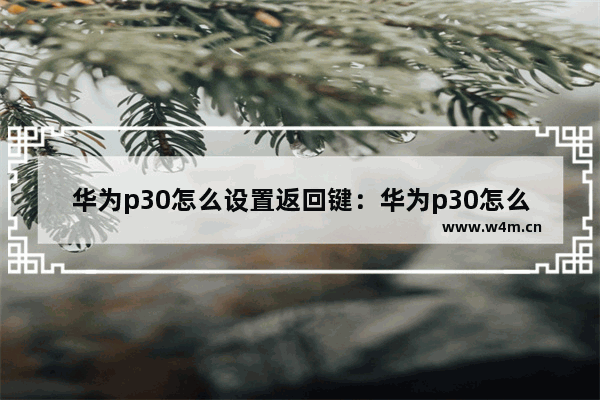 华为p30怎么设置返回键：华为p30怎么设置返回键在桌面上