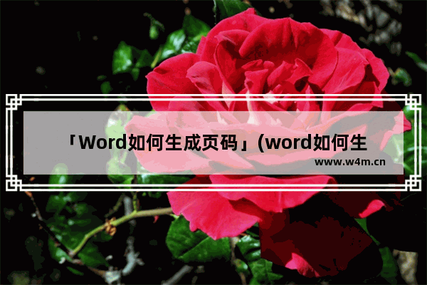 「Word如何生成页码」(word如何生成页码排除第一页)