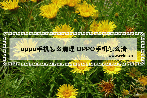 oppo手机怎么清理 OPPO手机怎么清理缓存文件