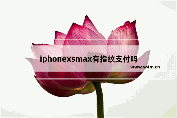 iphonexsmax有指纹支付吗