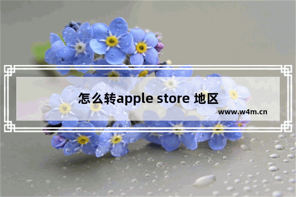 怎么转apple store 地区