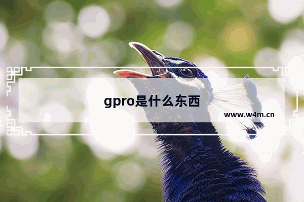 gpro是什么东西