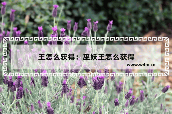 王怎么获得：巫妖王怎么获得