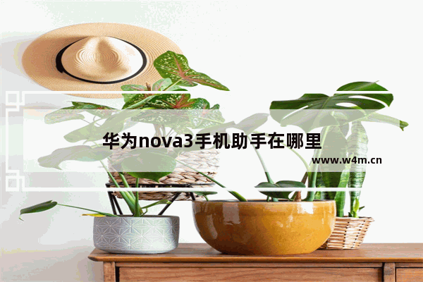 华为nova3手机助手在哪里