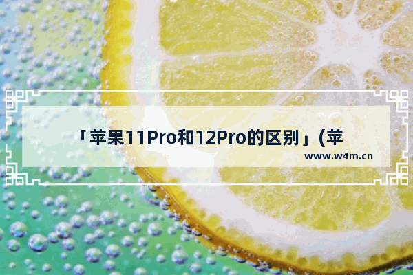 「苹果11Pro和12Pro的区别」(苹果11pro和12pro的区别外观图片)