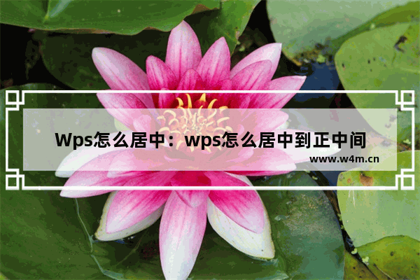 Wps怎么居中：wps怎么居中到正中间