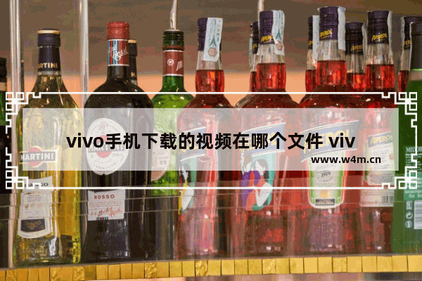 vivo手机下载的视频在哪个文件 vivo手机下载的视频在哪个文件夹