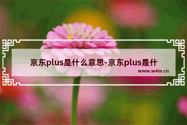 京东plus是什么意思-京东plus是什么意思白条分期可以优惠吗