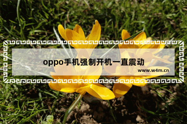 oppo手机强制开机一直震动