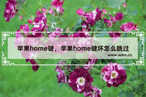 苹果home键，苹果home键坏怎么跳过激活