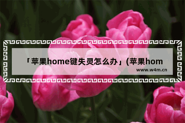 「苹果home键失灵怎么办」(苹果home键失灵怎么办怎么打开桌面)