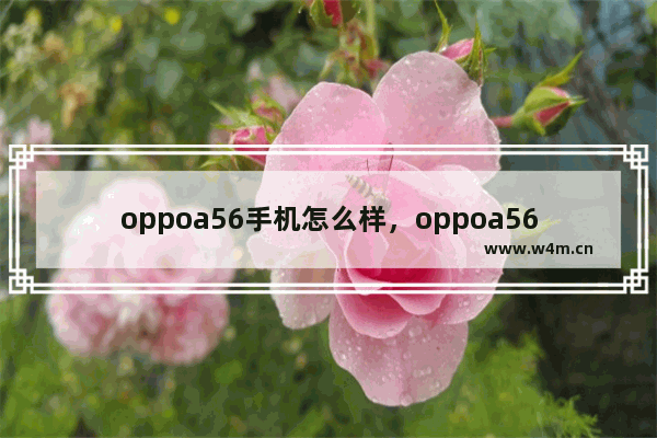 oppoa56手机怎么样，oppoa56手机怎么样值得买吗