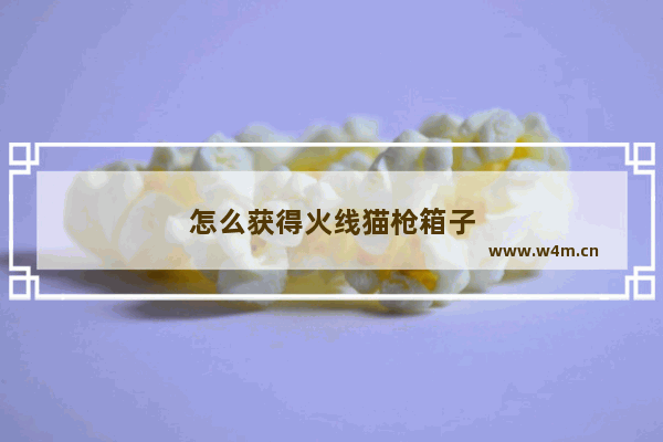 怎么获得火线猫枪箱子