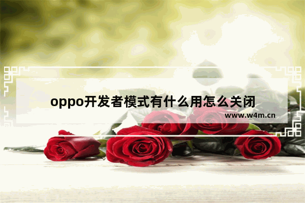 oppo开发者模式有什么用怎么关闭