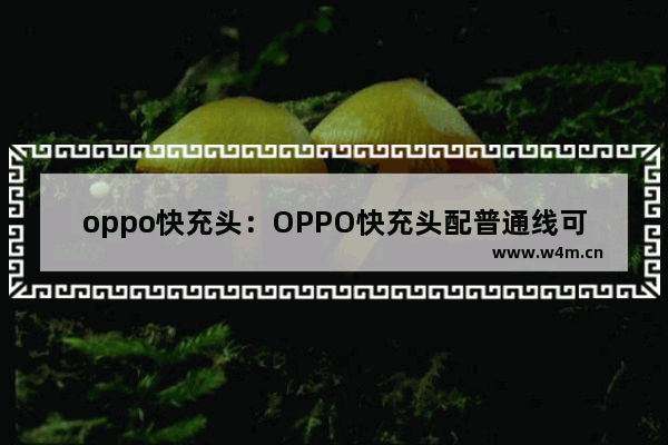 oppo快充头：OPPO快充头配普通线可以吗