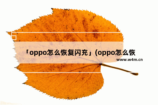 「oppo怎么恢复闪充」(oppo怎么恢复闪充r9s)