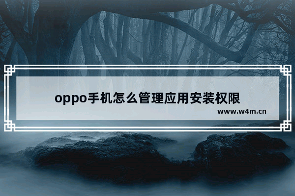 oppo手机怎么管理应用安装权限