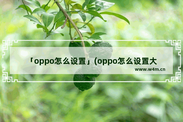 「oppo怎么设置」(oppo怎么设置大字体老人模式)