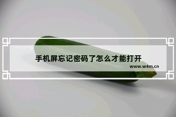 手机屏忘记密码了怎么才能打开