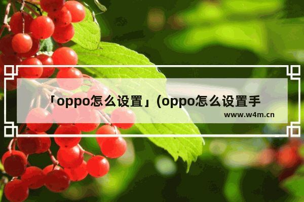 「oppo怎么设置」(oppo怎么设置手机的返回键在屏幕上)