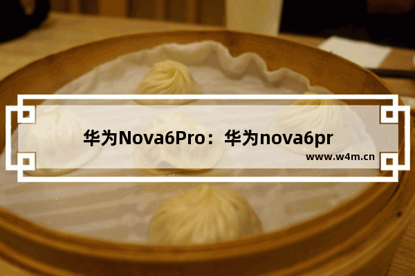 华为Nova6Pro：华为nova6pro手机参数配置