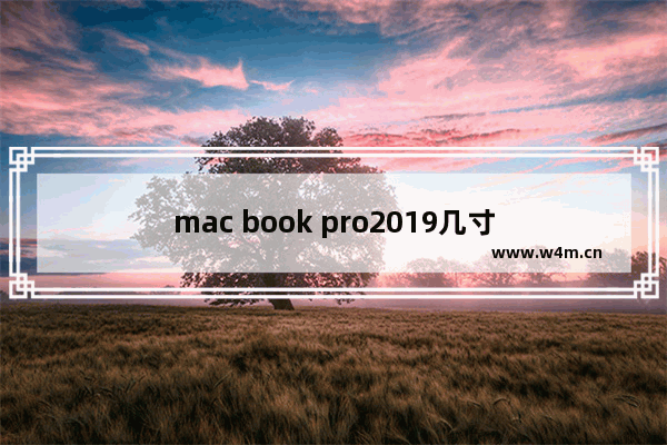 mac book pro2019几寸